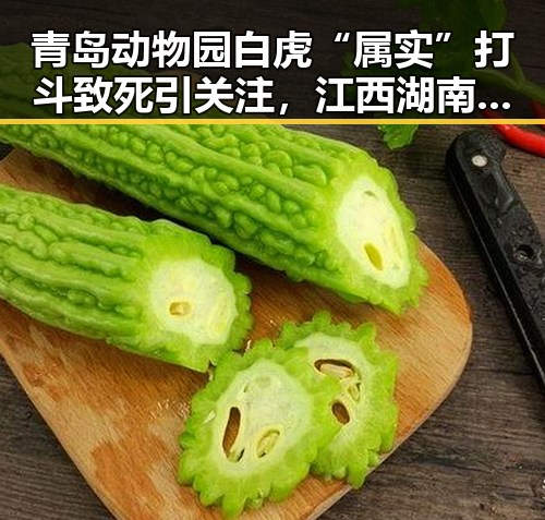 青岛动物园白虎“属实”打斗致死引关注，江西湖南启动国家地质灾四级应急反应引发反思