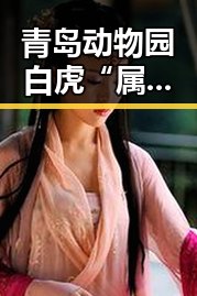 青岛动物园白虎“属实”打斗致死引关注,江西湖南启动国家地质灾四级应急反应引发反思