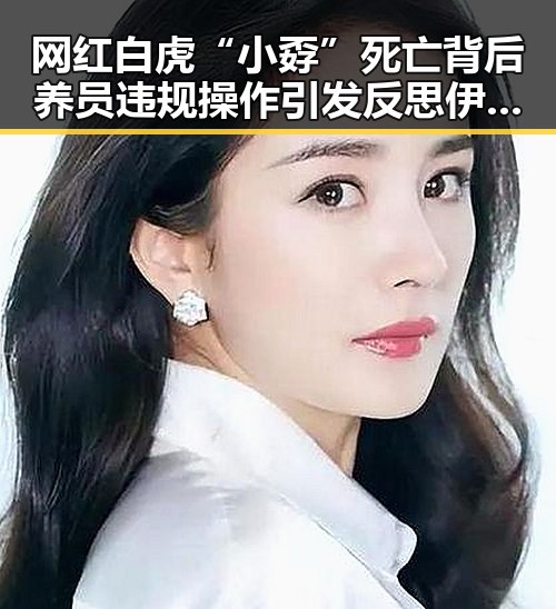 网红白虎“小孬”死亡背后养员违规操作引发反思伊朗国足终获签证迎接世界杯